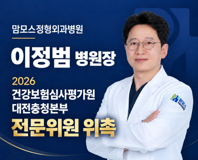 2026년 건강보험심사평가원 대전충청본부 전문위원 위촉