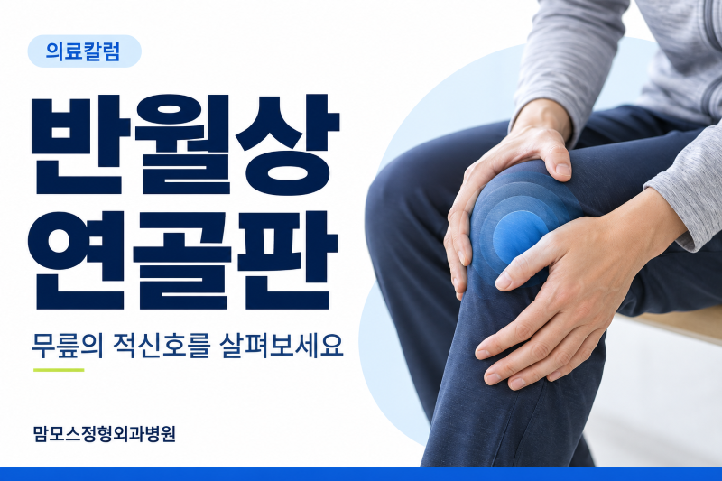 무릎의 적신호, 반월상 연골판을 지켜라! [유현진 원장…